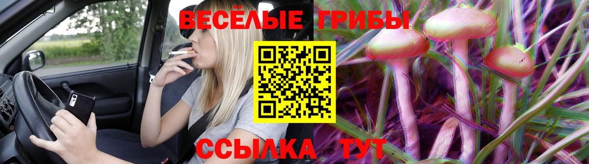 Галлюциногенные грибы Cubensis Большой Камень
